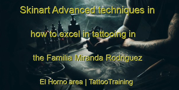 Skinart Advanced techniques in how to excel in tattooing in the Familia Miranda Rodriguez  El Horno area | TattooTraining | TattooClasses | SkinartTraining-Mexico